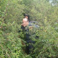 Lost in the Jungle at Warton (Gareth Williams)