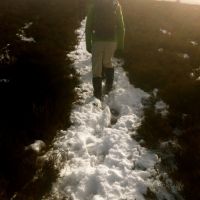 Snowy path (Simon Robertshaw)