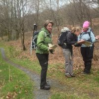 Day one - navigating from Capel Curig up towards Clogwyn Mawr (Emily Pitts)