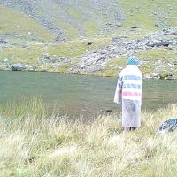 Ding contemplates the inviting waters of Llyn Glas (Dave Shotton)
