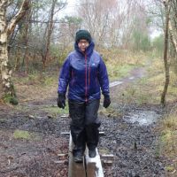 Mary in Newborough Forest - nice weather for duckboards (Dave Shotton)