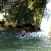 Midge swimming in Janet's Foss (Dave Wylie)