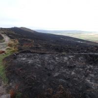 After-effects of August's moorland fire (Dave Shotton)