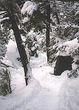 Lion Head Trail 1