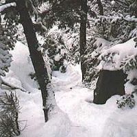 Lion Head Trail 1 (Metelko Collection)
