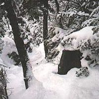 Lion Head Trail 2 (Metelko Collection)