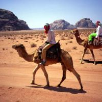 Riding Camels in Jordan (Dave Dillon)