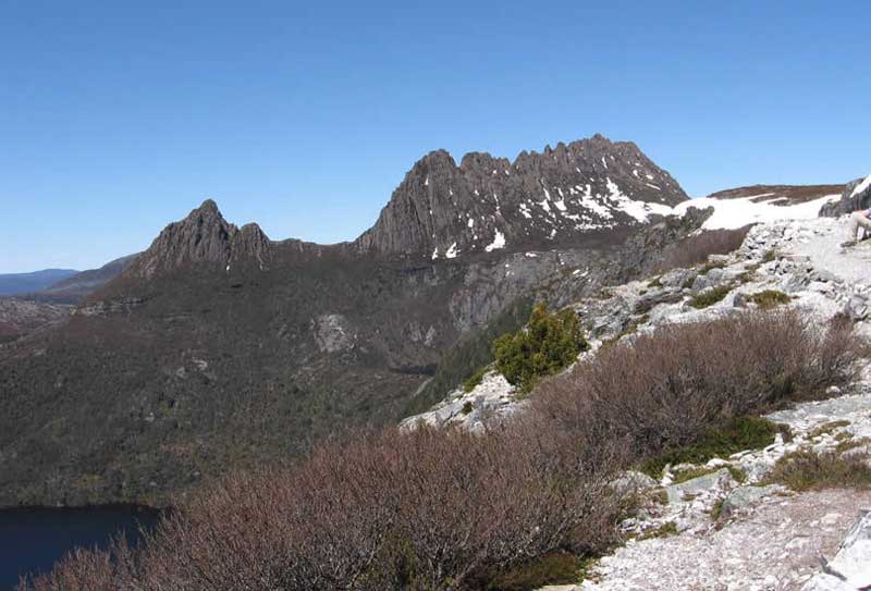 Picture Home Page