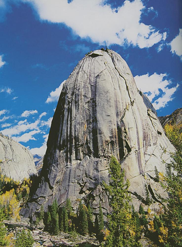 Picture Home Page