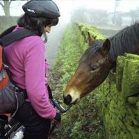 Cycling past a hungry horse (Dave Dillon)