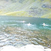 Swimming in Llyn Du'r Arddu (Dave Shotton)
