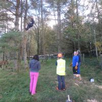 Andy's tree climbing gathers an audience (Dave Shotton)