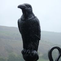 The bedraggled gatekeeper of Castell Dinas Brân (aka Crow Castle) (Dave Shotton)
