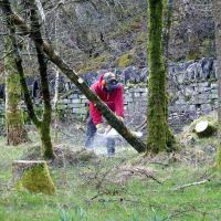 Ben clearing fallen trees (Dave Wylie)