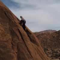 Emma Jarvis leading Krummelkante (Aladdin) on Tazka South Dome