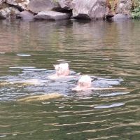 Cathy and Michelle in Llyn Padarn (Dave Shotton)