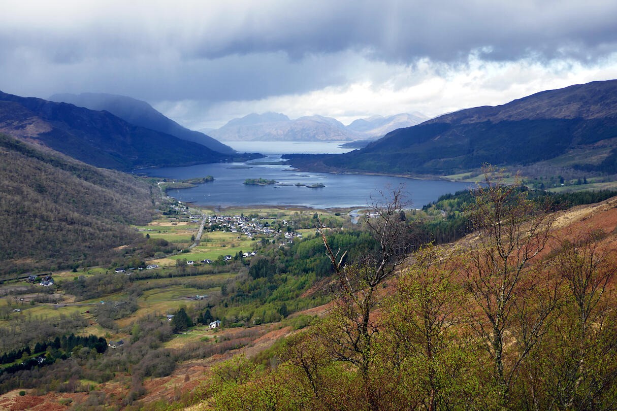 Picture Home Page Picture Home Page