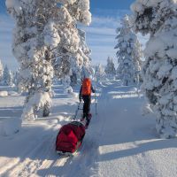 Somewhere in Lapland