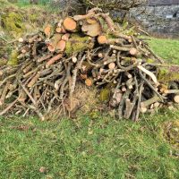 Wood stack