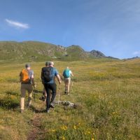 Alpine meadow (Mateusz Wasilewski)