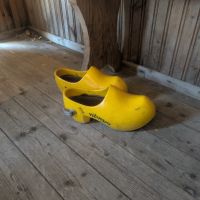 The ultimate crocs! (Mateusz Wasilewski)