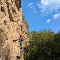 Sun trap on the first few moves of "Who sat on my satsuma" (Daniel O'Brien)
